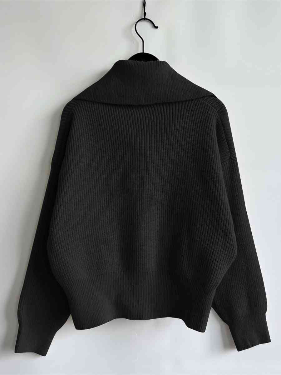 Statement Collar Half Button Sweater